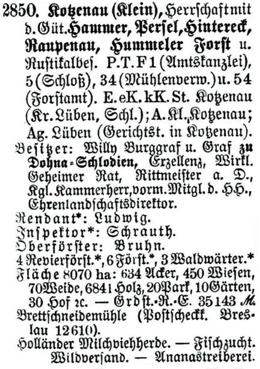 Schlesisches Güter-Adressbuch 1921 Kotzenau (Klein)