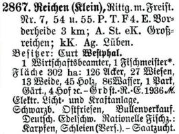 Schlesisches Güter-Adressbuch 1921 Reichen (Klein)