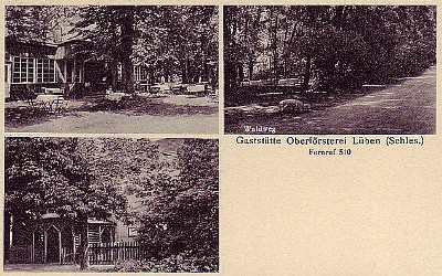 Oberförsterei Lüben