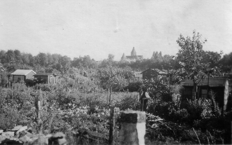 Schrebergärten vom Friedhof aus fotografiert in Richtung Ring. Aus dem Nachlass von Fritz Peschel.
