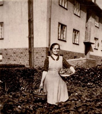 Meine Mutter Ida Heidrich (1892-1981)  bei der Erdbeerernte