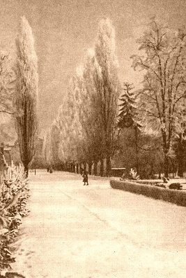 Lübener Dragonerstraße im Winter