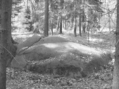 Findlingsstein im Wald bei Rynarcice im Jahr 2007 von Piotr K.