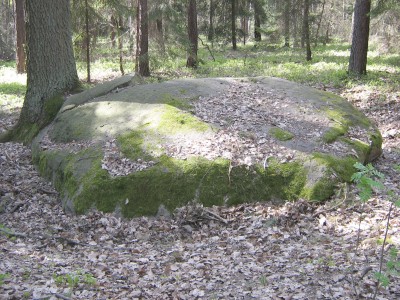 Findlingsstein im Wald bei Rynarcice im Jahr 2007 von Piotr K.