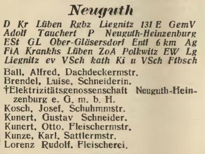Neuguth-Heinzenburg in: Amtliches Landes-Adressbuch der Provinz Niederschlesien 1927
