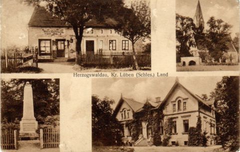 Warenhandlung Gustav Feige, Kirche, Kriegerdenkmal, Schloss Nieder-Herzogswaldau