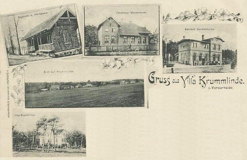 Olgahütte am Molketeich, Forsthaus Vorderheide, Bahnhof Vorderheide, Blick auf Krummlinde, Villa Krummlinde