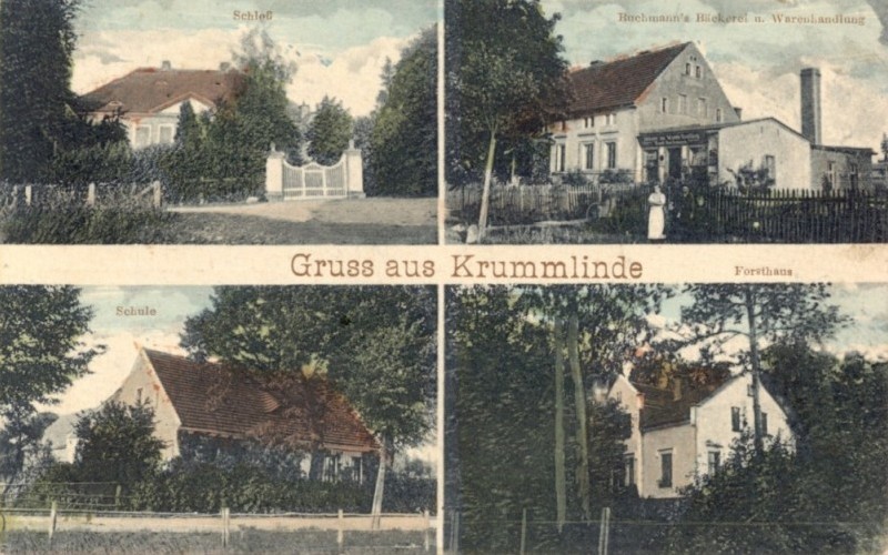 Krummlinde: Schloss, Bäckerei und Warenhandlung Karl Buchmann, Schule, Forsthaus