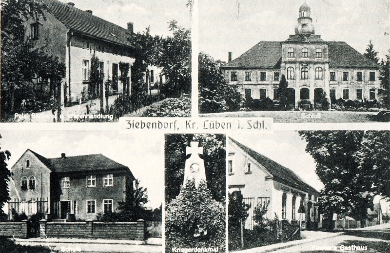 Ziebendorf: Pelz' Bäckerei und Warenhandlung, Schloss, Schule, Kriegerdenkmal, Finster's Gasthaus